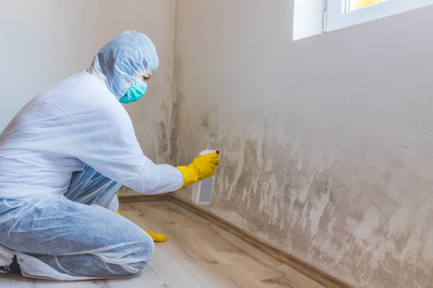 Bathroom Mold Removal assessment in Mount Joy bathroom